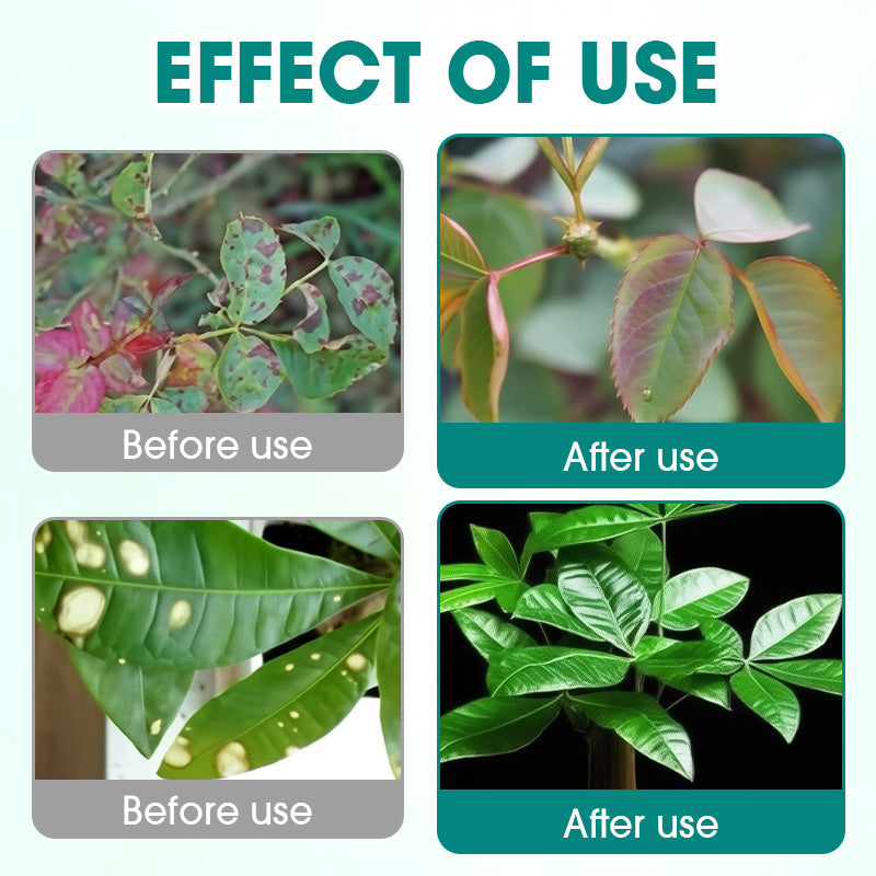 Universal & Gentle Plant Fungicide