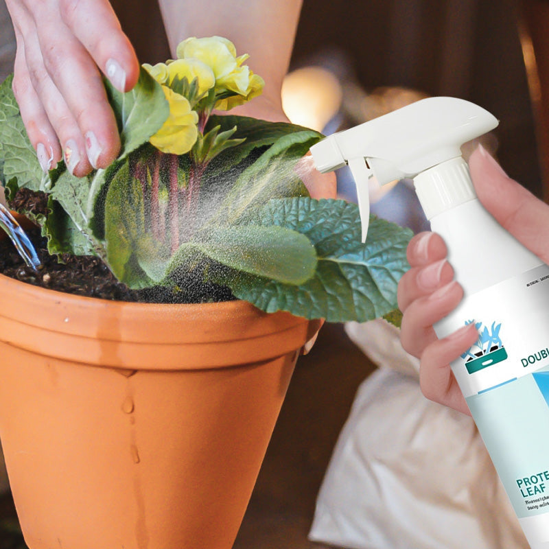 Universal & Gentle Plant Fungicide