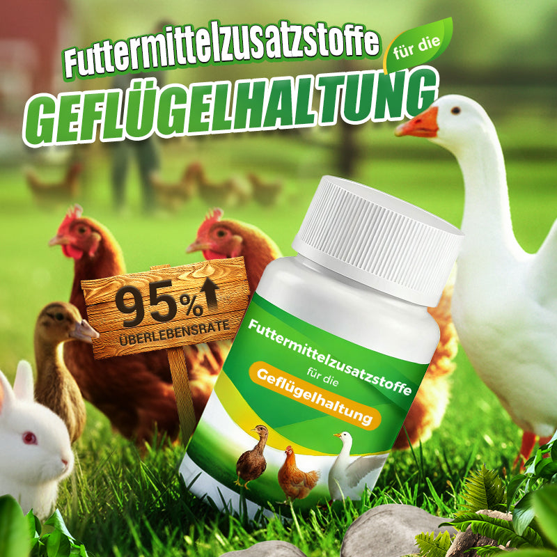 Futtermittelzusatzstoffe für die Geflügelhaltung