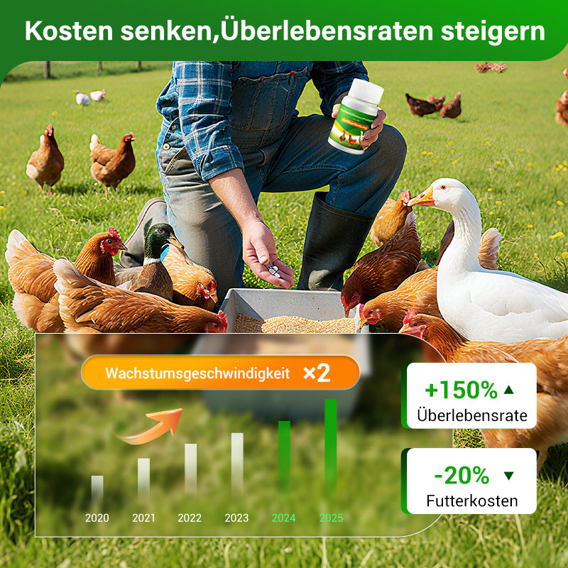 Futtermittelzusatzstoffe für die Geflügelhaltung