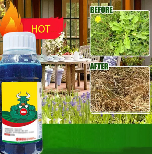 🔥Starkes Konzentriertes Herbizid🔥