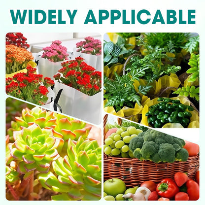 Universal & Gentle Plant Fungicide
